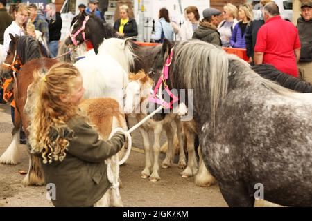 Appleby Horse Fair, Appleby in Westmorland, Cumbria Stockfoto