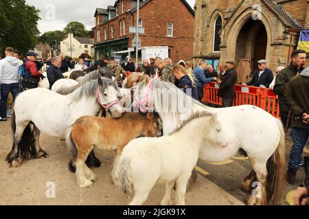 Stuten und ihre Fohlen auf der Straße, Appleby Horse Fair, Appleby in Westmorland, Cumbria Stockfoto