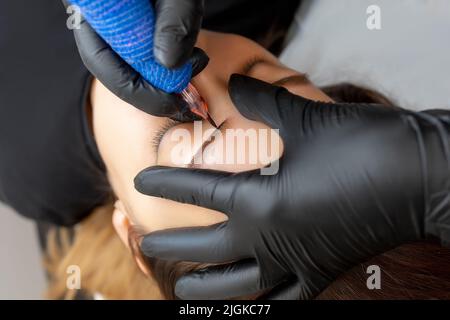 Der Meister macht eine Tätowierung der Augenbrauen wendet permanentes Make-up auf die Augenbrauen des Modells an Stockfoto