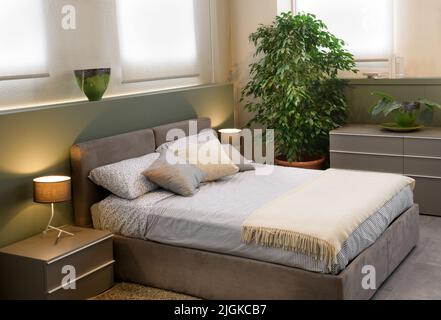 Komfortables Bett mit Kissen und Decke in der Nähe von üppiger Topfpflanze und Schrank im eleganten Schlafzimmer mit Lampen und Sonnenlicht beleuchtet Stockfoto