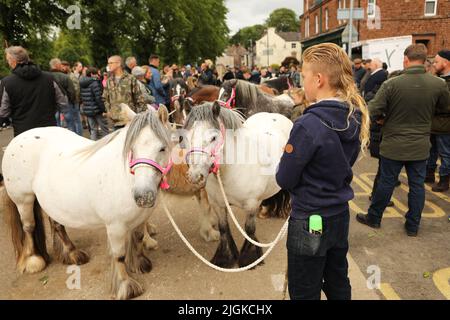 Ein kleiner Junge mit zwei grauen Ponys, Appleby Horse Fair, Appleby in Westmorland, Cumbria Stockfoto