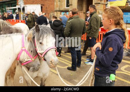 Ein kleiner Junge mit zwei grauen Ponys, Appleby Horse Fair, Appleby in Westmorland, Cumbria Stockfoto