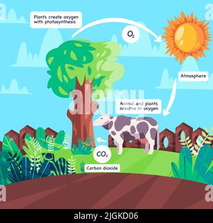 Sauerstoff-Zyklus Tieratmung und Photosynthese Prozess Herstellung von korbondioxid Schema Abbildung des natürlichen Prozesses Stock Vektor