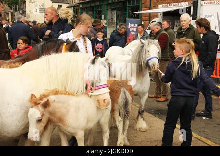 Ein junger Reisender Bruder und Schwester mit ihren Stuten und Fohlen, Appleby Horse Fair, Appleby in Westmorland, Cumbria Stockfoto