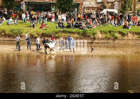 Am Ufer des Flusses Eden versammelten sich Menschen, um Pferde und Menschen am Ufer zu beobachten, Appleby Horse Fair, Appleby in Westmorland, Cumbria Stockfoto