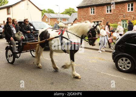 Ein buntes Pferd, das drei Menschen entlang der Straße in eine Falle zieht, Appleby Horse Fair, Appleby in Westmorland, Cumbria Stockfoto