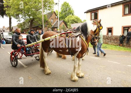 Ein buntes Pferd, das drei Menschen entlang der Straße in eine Falle zieht, Appleby Horse Fair, Appleby in Westmorland, Cumbria Stockfoto