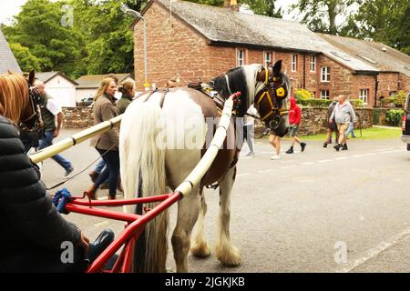 Ein buntes Pferd, das eine Falle entlang der Straße zieht, Appleby Horse Fair, Appleby in Westmorland, Cumbria Stockfoto