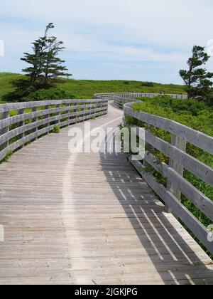 Greenwich Beach Promenade, Prince Edward Island NP Stockfoto