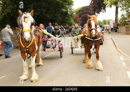 Zwei Pferde und Fallen stehen nebeneinander auf der Straße, Appleby Horse Fair, Appleby in Westmorland, Cumbria Stockfoto