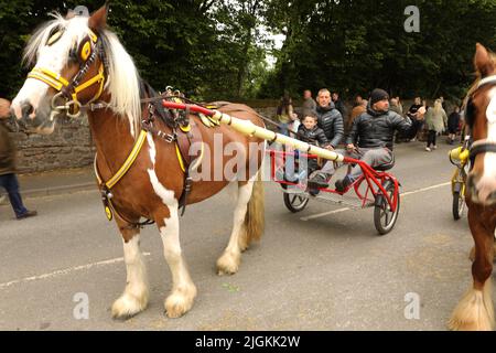 Ein buntes Pferd, das eine Falle entlang der Straße zieht, Appleby Horse Fair, Appleby in Westmorland, Cumbria Stockfoto