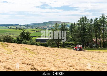 Drinagh, West Cork, Irland. 11.. Juli 2022. Der Rinderzüchter George Wilson wendet an einem warmen und feuchten Tag in West Cork Heu an, um es mit einem 1978 Massey Ferguson 168 mit einem Heubob zu versäuern. Quelle: AG News/Alamy Live News Stockfoto