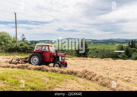 Drinagh, West Cork, Irland. 11.. Juli 2022. Der Rinderzüchter George Wilson wendet an einem warmen und feuchten Tag in West Cork Heu an, um es mit einem 1978 Massey Ferguson 168 mit einem Heubob zu versäuern. Quelle: AG News/Alamy Live News Stockfoto