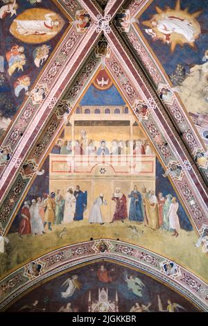 Die Spanische Kapelle in den Kreuzgängen der Basilica di Santa Maria Novella in Florenz Italien Stockfoto