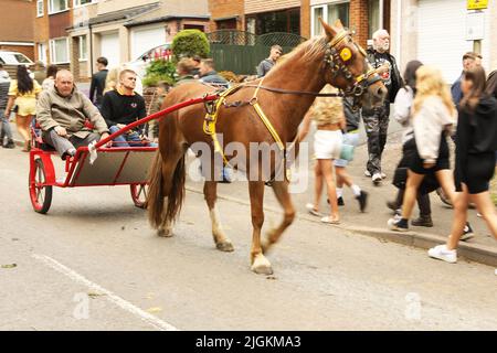 Ein kastanienfarbenes Pferd, das zwei Männer entlang der Straße in eine Falle zieht, Appleby Horse Fair, Appleby in Westmorland, Cumbria Stockfoto