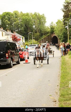 Ein buntes Pferd, das eine Falle entlang der Straße zieht, Appleby Horse Fair, Appleby in Westmorland, Cumbria Stockfoto