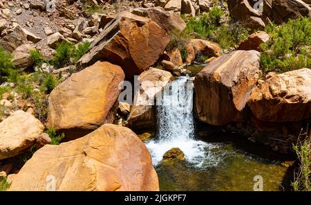 Der Bright Angel Creek fließt zwischen Sandsteinfelsen und bildet kleine Wasserfälle auf dem North Kaibab Trail, Grand Canyon National Park, Arizona, USA Stockfoto