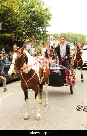 Ein buntes Pferd, das eine Falle entlang der Straße zieht, Appleby Horse Fair, Appleby in Westmorland, Cumbria Stockfoto