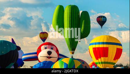 Morning Ascension for Special Shapes Rodeo, Albuquerque International Balloon Fiesta, New Mexico, USA Stockfoto