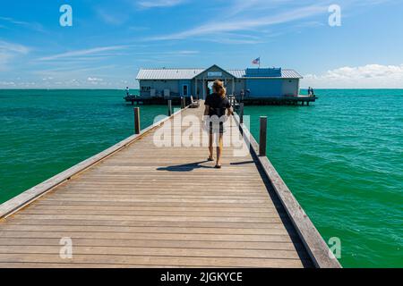 Weibliche Touristen zu Fuß auf dem historischen Amelia Island Pier, Amelia Island, Florida, USA Stockfoto