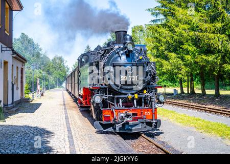 Alte Dampflokomotive auf Schmalspurbahn Stockfoto