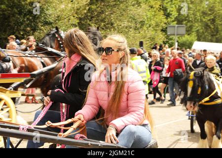 Zwei junge Reisende Mädchen, die in einem Pferd und einer Falle reiten. Appleby Horse Fair, Appleby in Westmorland, Cumbria, England, Vereinigtes Königreich Stockfoto