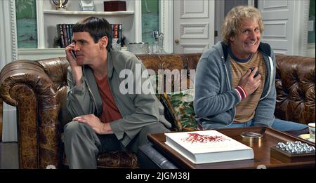 JIM CARREY, JEFF DANIELS, Dumm und Dümmer, 2014 Stockfoto