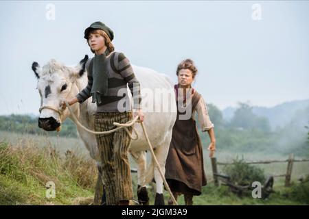 HUTTLESTONE,ULLMAN, IN DEN WALD, 2014 Stockfoto