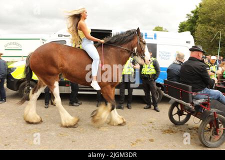Eine junge Frau mit langen blonden Haaren, die auf einem Shire-Pferd unterwegs ist. Appleby Horse Fair, Appleby in Westmorland, Cumbria, England, Vereinigtes Königreich Stockfoto