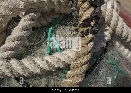 Ein Fischernetz und ein dickes Schiffsseil mit einigen Muscheln Stockfoto