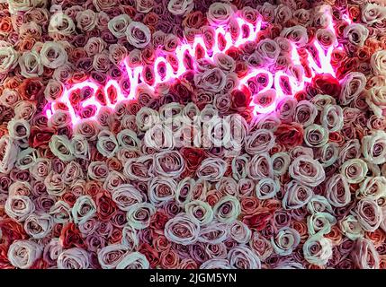 Bahamas Rosa Neonlichter an einer Wand aus Rosen Stockfoto