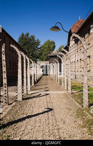 Stacheldrahtzäune und Gebäude im ehemaligen Konzentrationslager Auschwitz I, Auschwitz, Polen. Stockfoto