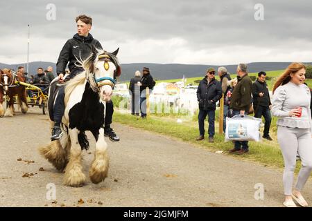 Ein Teenager, der auf einem farbigen Pferd neben dem Campingplatz reitet. Appleby Horse Fair, Appleby in Westmorland, Cumbria, England, Vereinigtes Königreich Stockfoto