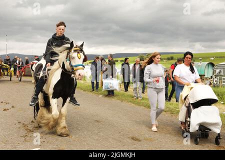 Ein Teenager, der auf einem farbigen Pferd neben dem Campingplatz reitet. Appleby Horse Fair, Appleby in Westmorland, Cumbria, England, Vereinigtes Königreich Stockfoto