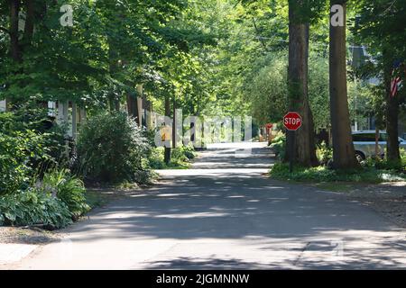 Blick auf die Straße von der Chautauqua Institution Area in Chautauqua, im Norden des Staates New York. Stockfoto