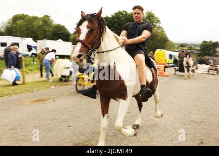 Ein junger Mann, der auf einem farbigen Zigeunerpferd die Straße entlang trabt. Appleby Horse Fair, Appleby in Westmorland, Cumbria, England, Vereinigtes Königreich Stockfoto