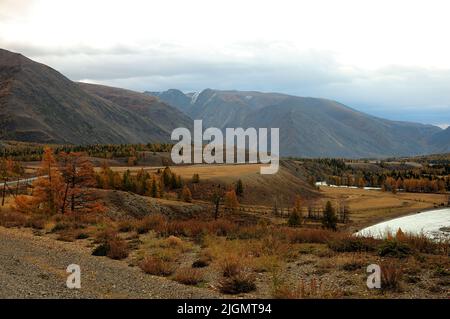 Panoramabild einer kurvenreichen Straße entlang eines Flussbetts, die im Frühherbst an Bergketten entlang führt. Chuisky-Trakt, Altai, Sibirien, Russland. Stockfoto