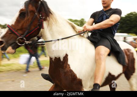 Ein junger Mann, der auf einem farbigen Zigeunerpferd die Straße entlang trabt. Appleby Horse Fair, Appleby in Westmorland, Cumbria, England, Vereinigtes Königreich Stockfoto