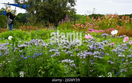 Beelitz, Deutschland. 08.. Juli 2022. Blühende Blumenbeete können auf dem Gelände der Laga State Garden Show gesehen werden. (To dpa: Bisher 230.000 Besucher auf der State Garden Show in Beelitz) Quelle: Jens Kalaene/dpa/Alamy Live News Stockfoto