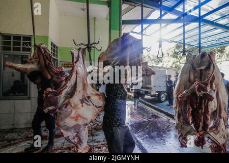 Ein Arbeiter trägt am 10. Juli 2022 im Schlachthof Bogor City in Bogor, West-Java, Indonesien, ein Stück Rindfleisch Stockfoto