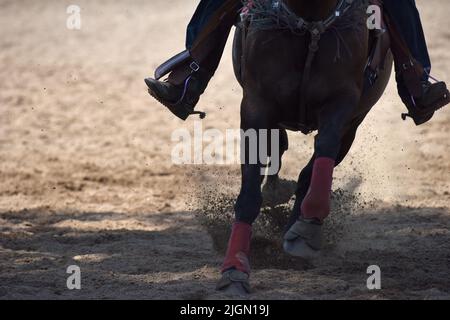 Nahaufnahme der Hufe eines Pferdes bei einem Galopp mit den Stiefeln und Spornen des Reiters sichtbar. Stockfoto