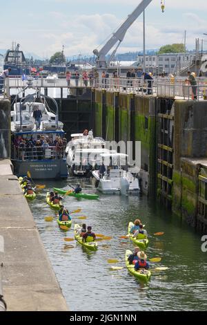 Seattle - 09. Juli 2022; An einem sonnigen Sommertag Betreten Eine Gruppe Kajakfahrer die kleine Schleuse an den Ballard Locks in Seattle Stockfoto