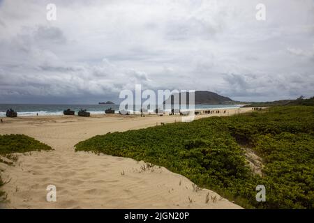 220708-M-TN173-1132 MARINESTÜTZPUNKT HAWAII, Hawaii (8. Juli 2022) US-Marinesoldaten werden dem Landeteam des Bataillons zugewiesen 3. Bataillon, 4. Marine Regiment, Marine Air-Ground Task Force 7 und Marine der Republik Korea, zugewiesen an die Division 1., 1. koreanische amphibische Angriffsfahrzeuge, Zusammenarbeit mit anderen Partnerländern zur Durchführung von Amphibientrainings während des Rim of the Pacific 2022 (RIMPAC 2022), Juli 8. 26 Nationen, 38 Schiffe, vier U-Boote, mehr als 170 Flugzeuge und 25.000 Mitarbeiter nehmen vom 29. Juni bis zum 4. August an der RIMPAC 2022 in und um die Hawaiianischen Inseln und den Süden Teil Stockfoto