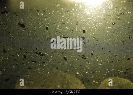 Staub in einem Lagerwasser Stockfoto