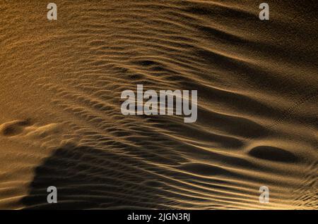 Goldschicht-Muster aus Sanddünen Stockfoto