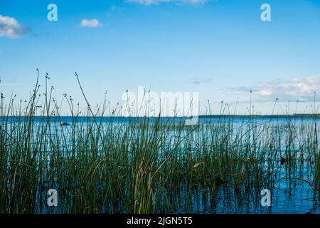 Schöne Natur Hintergrund Szene an einem Strand während des Sommers tagsüber. Stockfoto