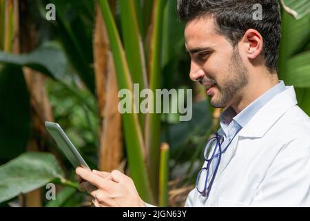 Nahaufnahme eines Biologen, der Pflanzen in einem Gewächshaus dokumentiert, während er eine Tablette verwendet Stockfoto