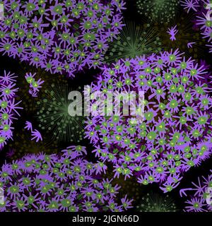 Nahtlose Muster lila Zwiebel Blumen auf einem dunklen Hintergrund. Vektorgrafik Stock Vektor