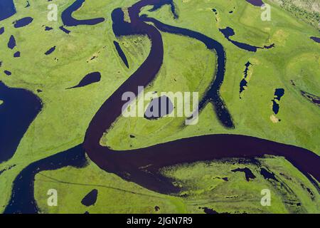 River Draufsicht Schießen von einer Drohne . Fluss auf einem grünen Hintergrund. amur Fluss Vogelperspektive Stockfoto