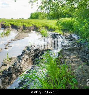 Eine Landstraße in Schlamm, Schlamm und Wasser nach Regen. Schlamm auf der Forststraße Stockfoto